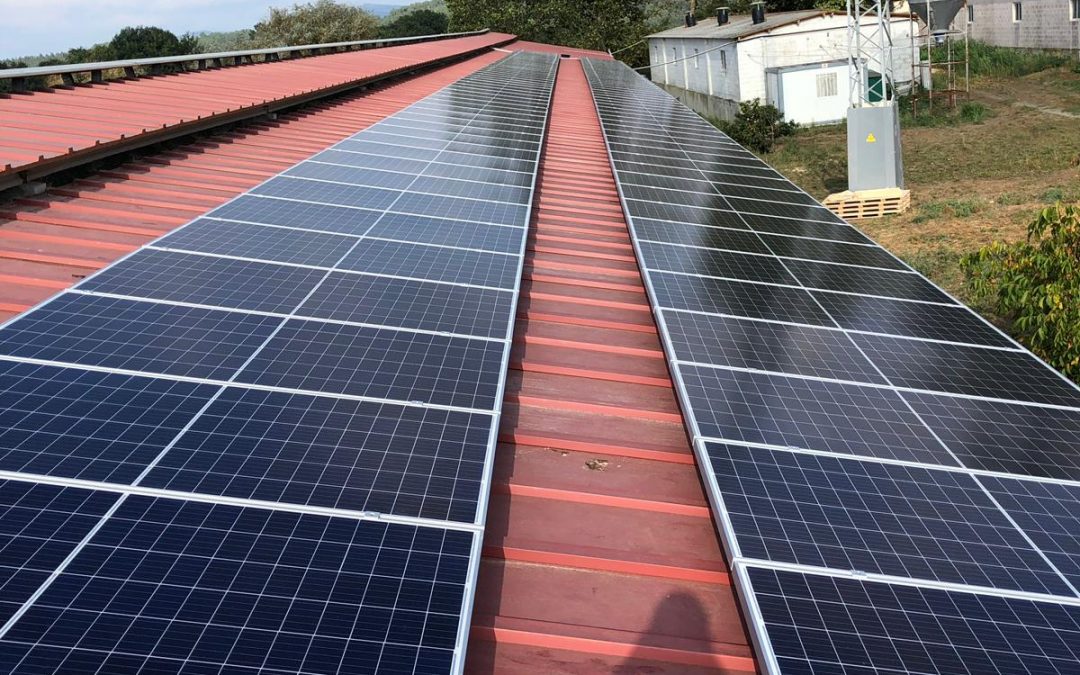 Fotovoltaica en granja porcina de Silleda (Pontevedra)